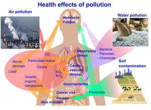 Effects of environmental pollution on health