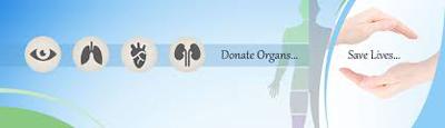 Cadaver organ donation