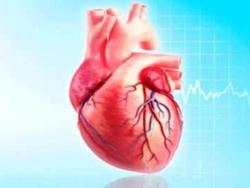 First heart transplant in Kolkata Govt medical college